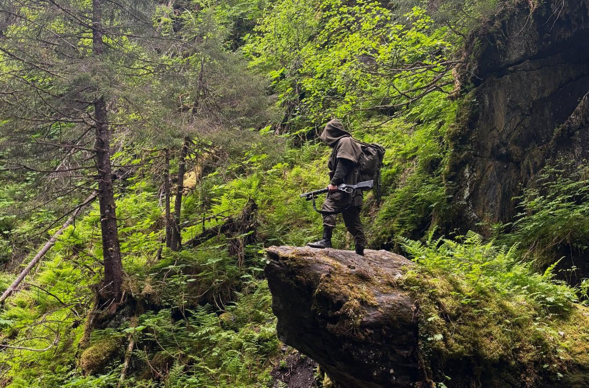 Wizard Boonie in the forest
